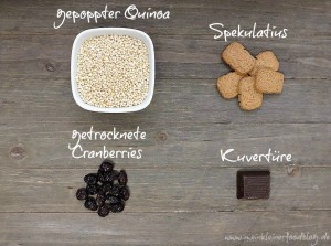 weihnachtliche Spekulatius-Quinoa-Schoko-Riegel aus nur 4 Zutaten sind sooo lecker und ganz schnell hergestellt. Perfekt zum selber naschen oder als Weihnachtsüberraschung!