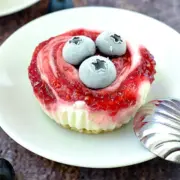 Joghurt-Eis-Törtchen sind ein Genuss in der Sommerzeit.