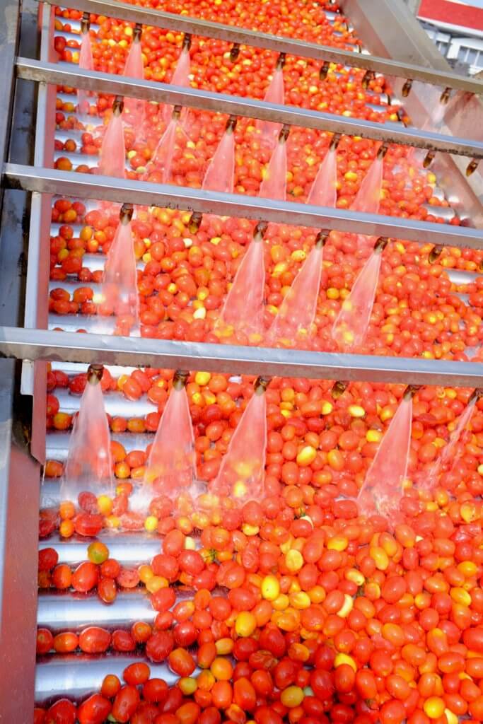 Aubergine & Zucchini Parmigiana und ein Besuch bei Mutti Parma